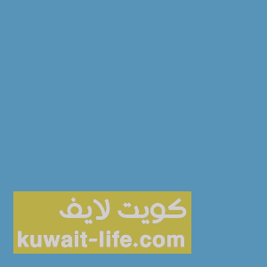 وظائف-جامعة-الكويت